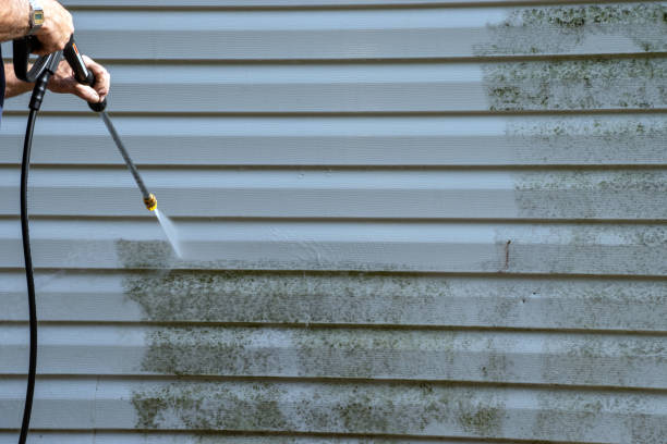 Best Carpet Removal and Disposal  in Egypt, PA